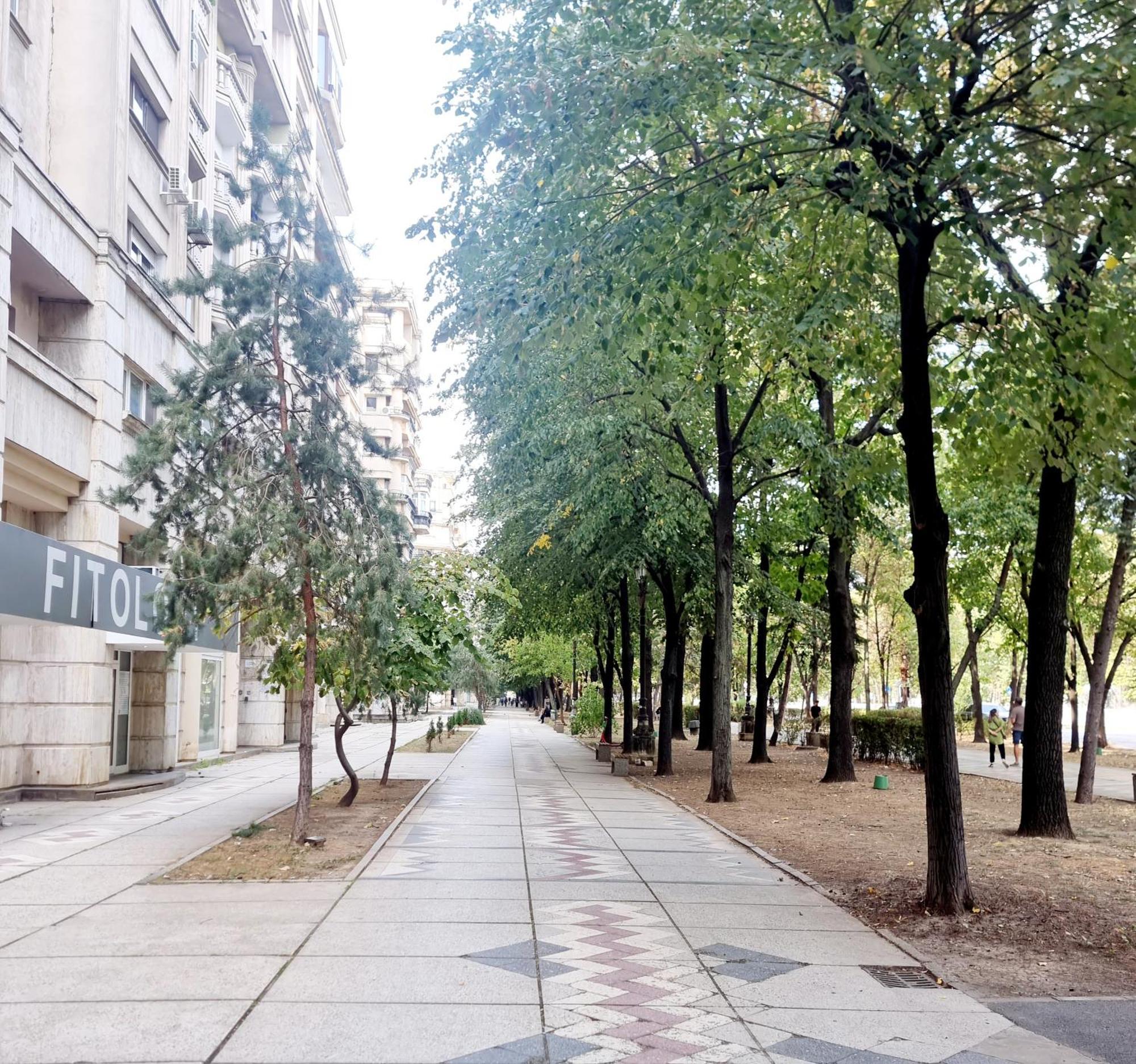 Tranquil Unirii Residence - Elegant & Spacious Living With Parking Steps From Parliament Бухарест Экстерьер фото
