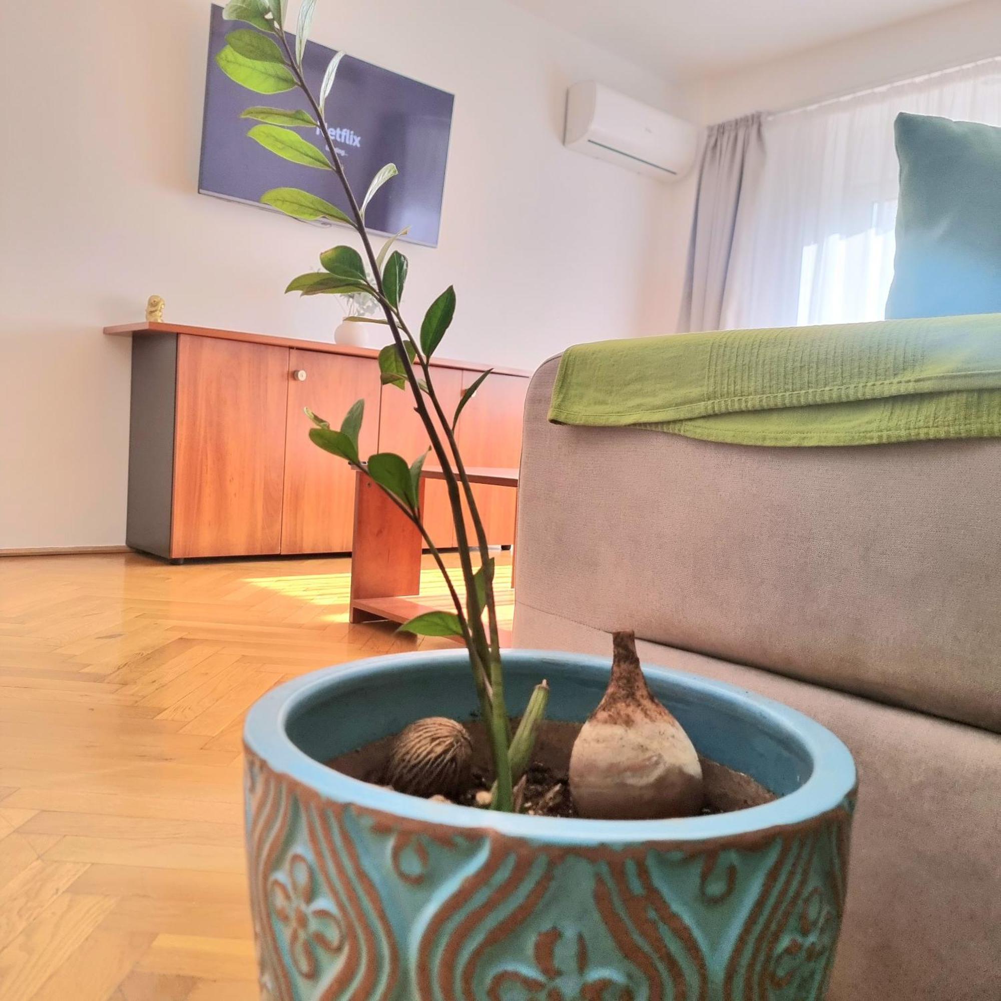 Tranquil Unirii Residence - Elegant & Spacious Living With Parking Steps From Parliament Бухарест Экстерьер фото
